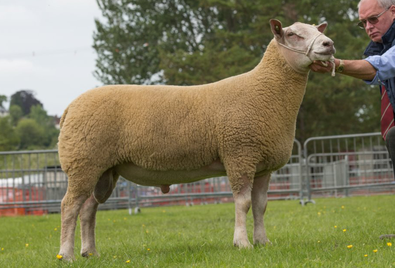 ARBRYN OLAZABAL 14WRF00262 ARBRYN OLAZABAL 14WRF00262